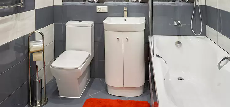 Hansgrohe Shaving Mirror Pottstown